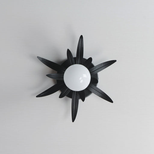 Paloma 10" 1 Light Wall Sconce in Anthracite