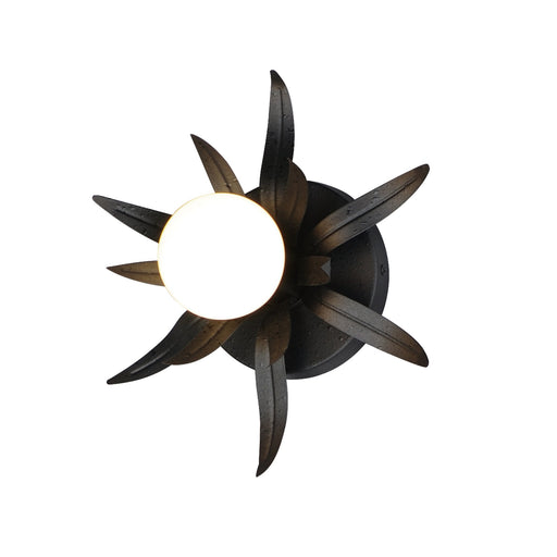 Paloma 10" 1 Light Wall Sconce in Anthracite