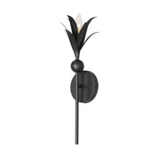 Paloma 1 Light Candle Wall Sconce in Anthracite