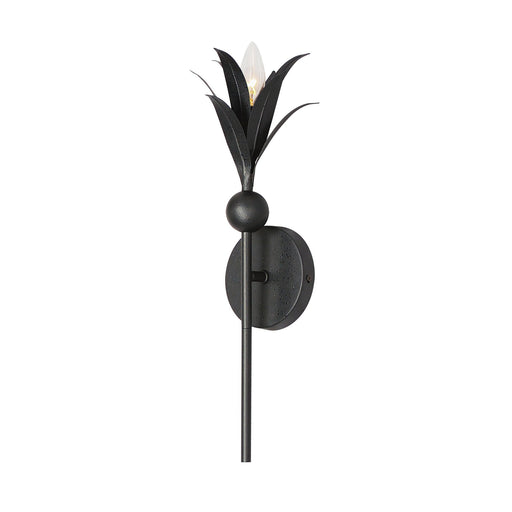Paloma 1 Light Candle Wall Sconce in Anthracite