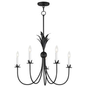 Paloma 5 Light Chandelier in Anthracite