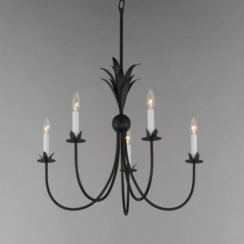 Paloma 5 Light Chandelier in Anthracite
