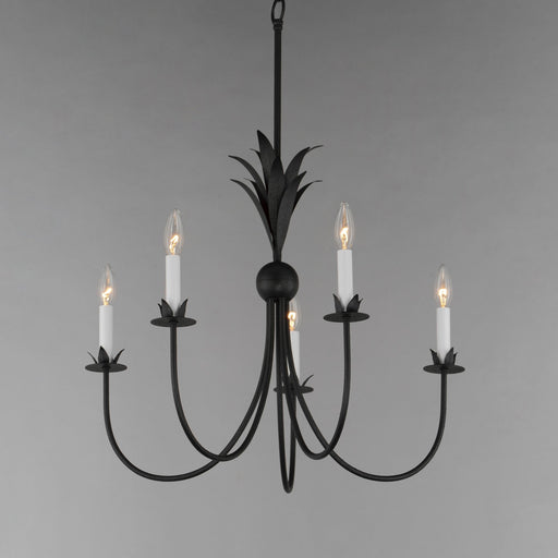 Paloma 5 Light Chandelier in Anthracite