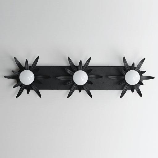 Paloma 3 Light Bath Vanity Light in Anthracite