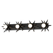 Paloma 4 Light Bath Vanity Light in Anthracite