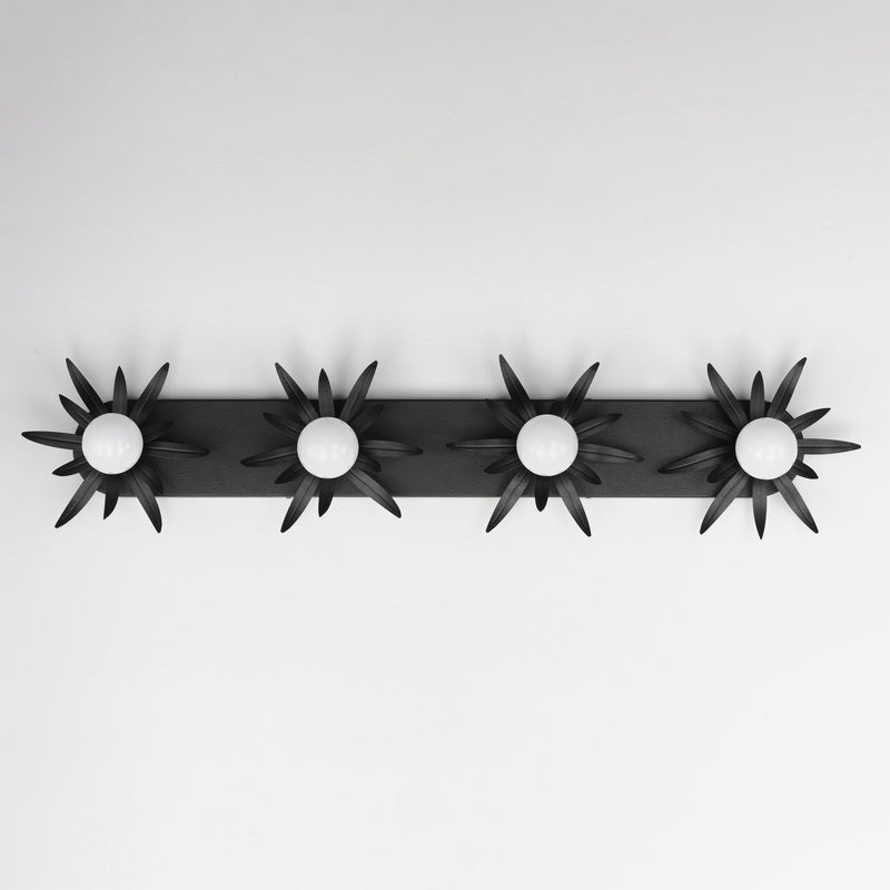 Paloma 4 Light Bath Vanity Light in Anthracite
