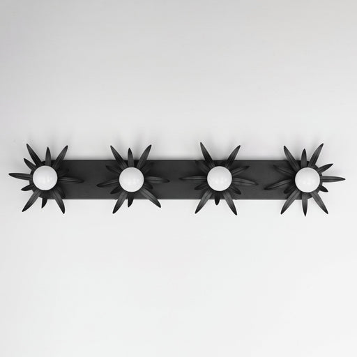 Paloma 4 Light Bath Vanity Light in Anthracite