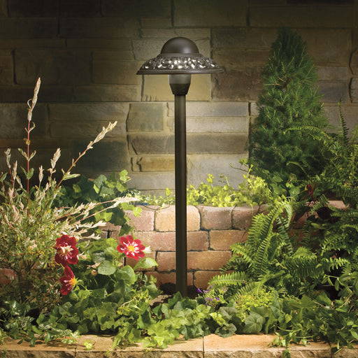 Path & Spread 1-Light 12V in Textured Architectural Bronze