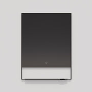 Castore 20"x32" Lighted Mirror in Black