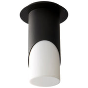 Ellipse Large LED Ceiling Mount in Black