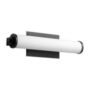 Tempus 19" LED Vanity Light in Black