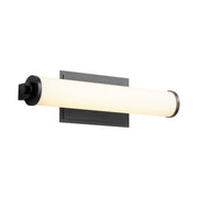 Tempus 19" LED Vanity Light in Black