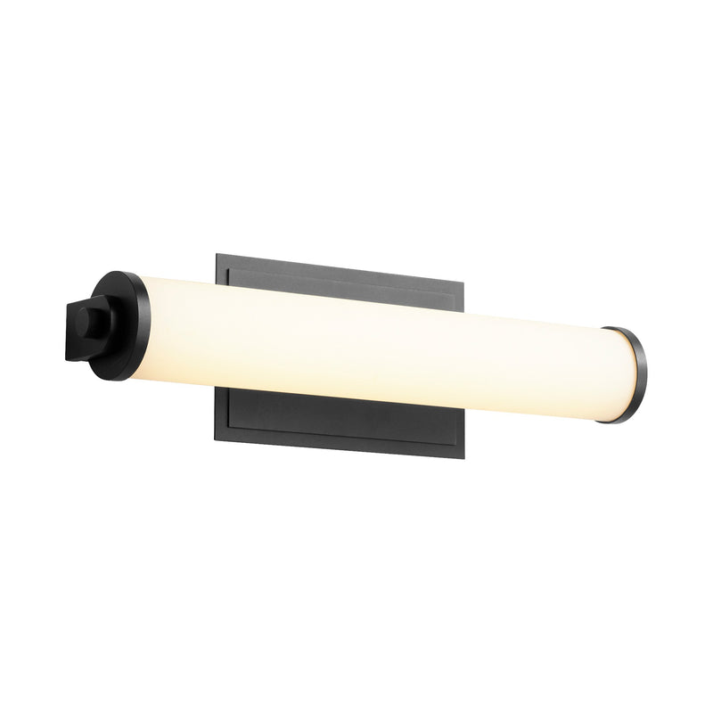 Tempus 19" LED Vanity Light in Black