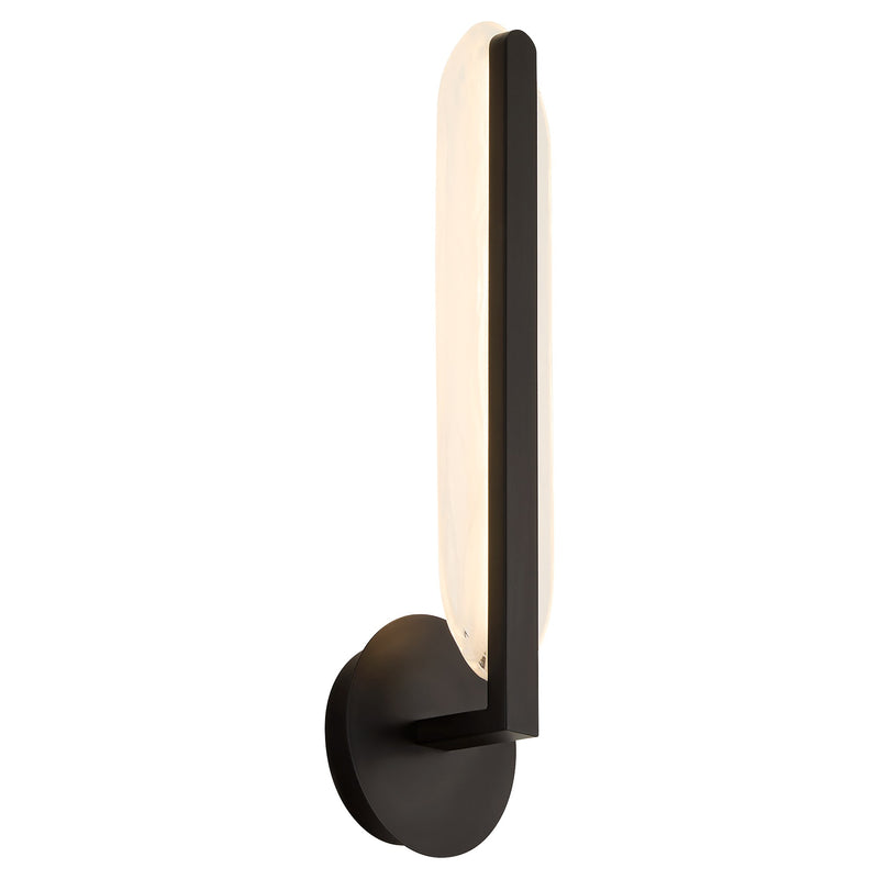 Avian LED Wall Sconce in Black