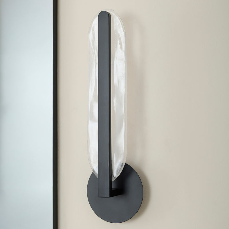 Avian LED Wall Sconce in Black