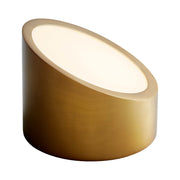 Zeepers LED Wall Sconce in Aged Brass