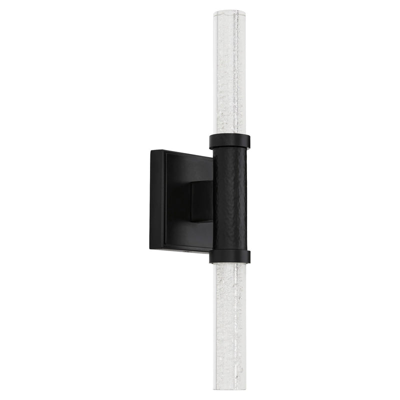 Monet 2 Light LED Wall Sconce in Black