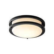 Oracle 10" LED Flush Mount in Black