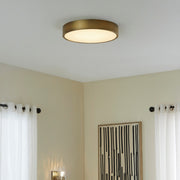 Floe 18" LED Ceiling Mount in Brushed Brass