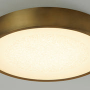 Floe 18" LED Ceiling Mount in Brushed Brass