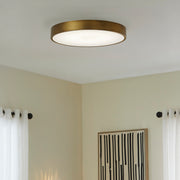 Floe 24" LED Ceiling Mount in Brushed Brass