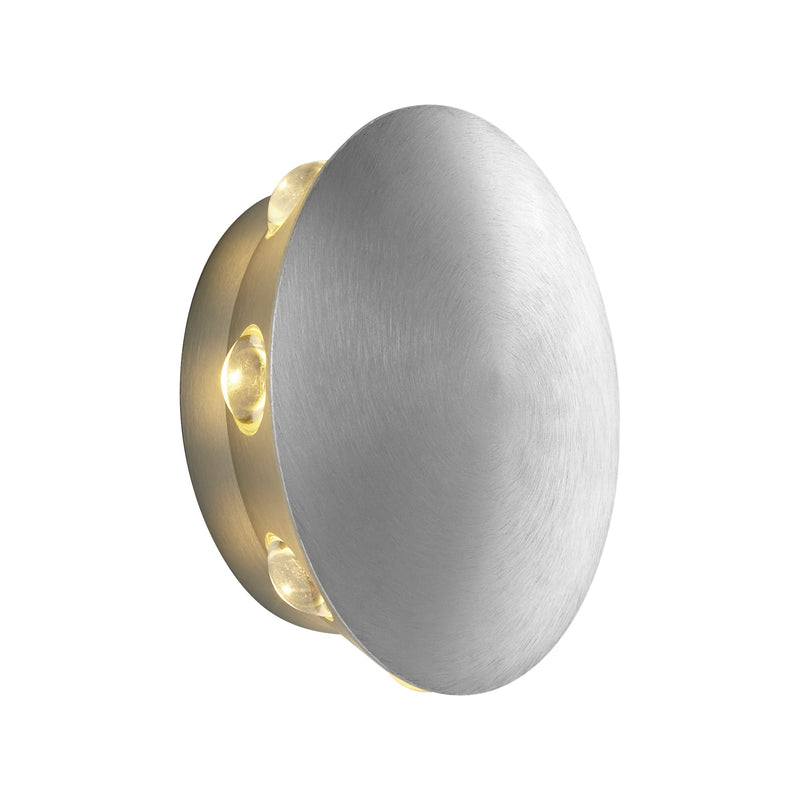 Rickie LED Outdoor Wall Sconce in Brushed Aluminum