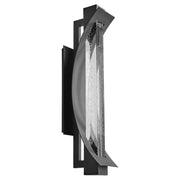 Albedo 24" LED Outdoor Wall Lantern in Black