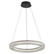 Élan 24" LED Pendant in Black