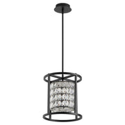 Élan 12" LED Cage Pendant in Black