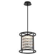 Élan 12" LED Cage Pendant in Black