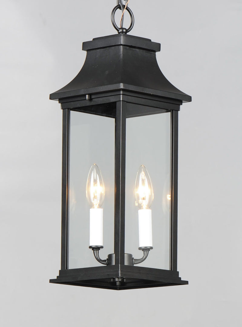 Vicksburg 2 Light Outdoor Hanging Lantern in Black