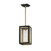 Neoclass 1 Light Outdoor Pendant in Black / Gold