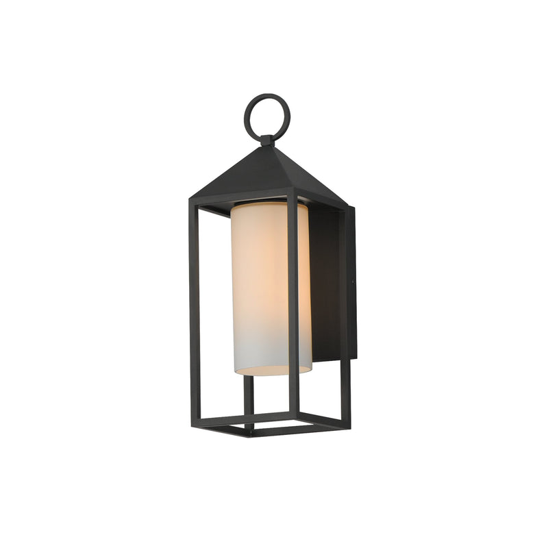 Aldous 1 Light Outdoor Wall Sconce in Black
