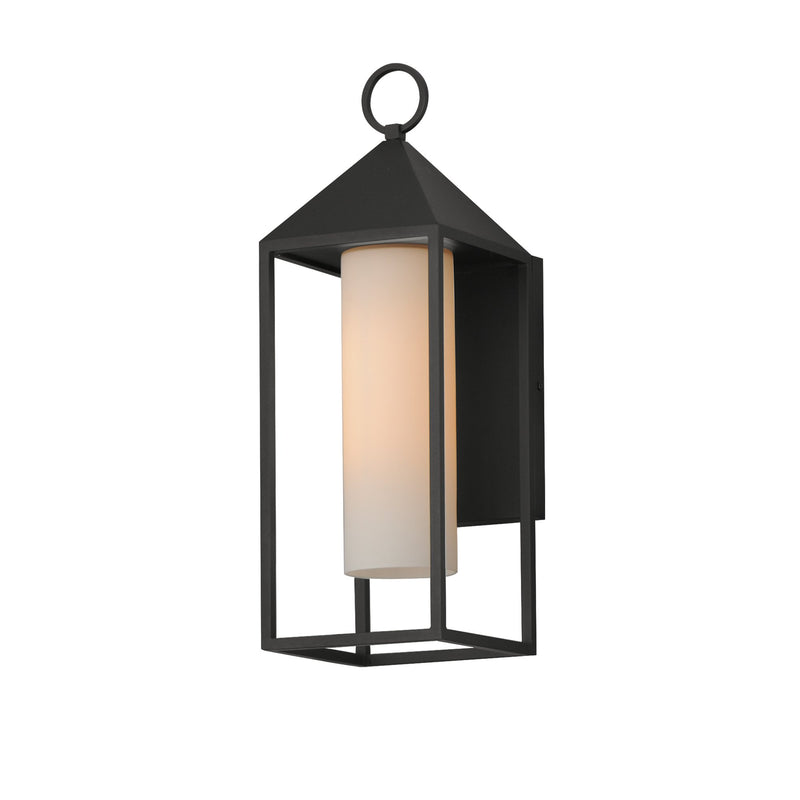 Aldous 1 Light Large Outdoor Wall Sconce in Black