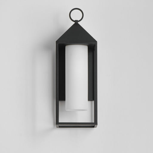 Aldous 1 Light Large Outdoor Wall Sconce in Black