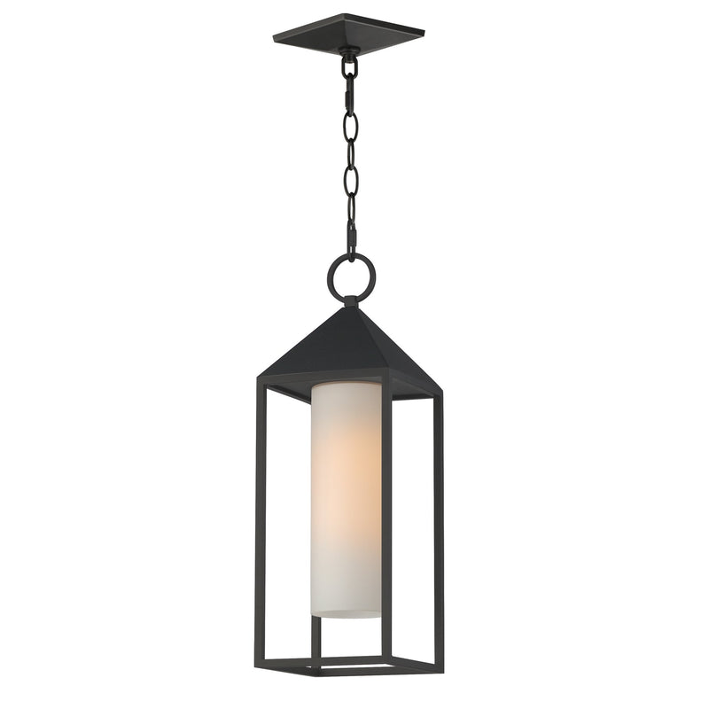 Aldous 1 Light Outdoor Pendant in Black