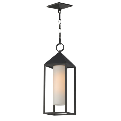 Aldous 1 Light Outdoor Pendant in Black