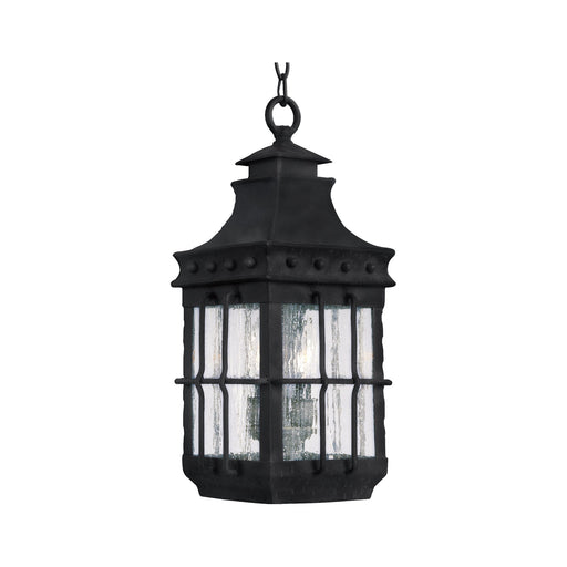 Nantucket 3 Light Outdoor Hanging Lantern in Country Forge