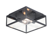 Catalina 2 Light Outdoor Flush Mount in Dark Bronze