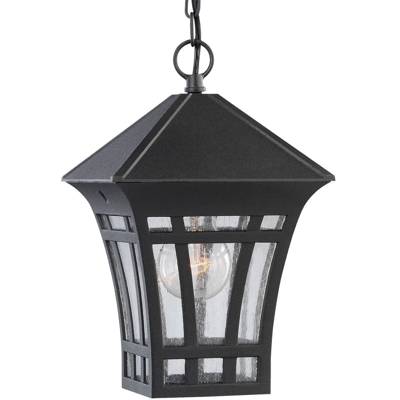 Herrington Clear Seeded Outdoor Lantern Pendant in Black