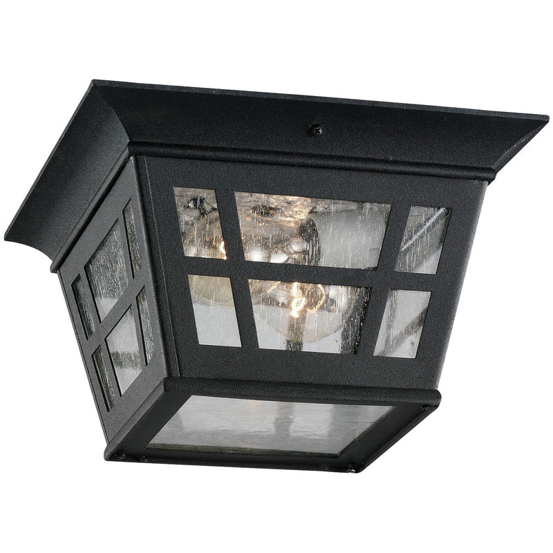 Herrington 2-Light Clear Seeded Outdoor Flush Mount in Black