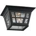 Herrington Two Light Outdoor Flush Mount in Black