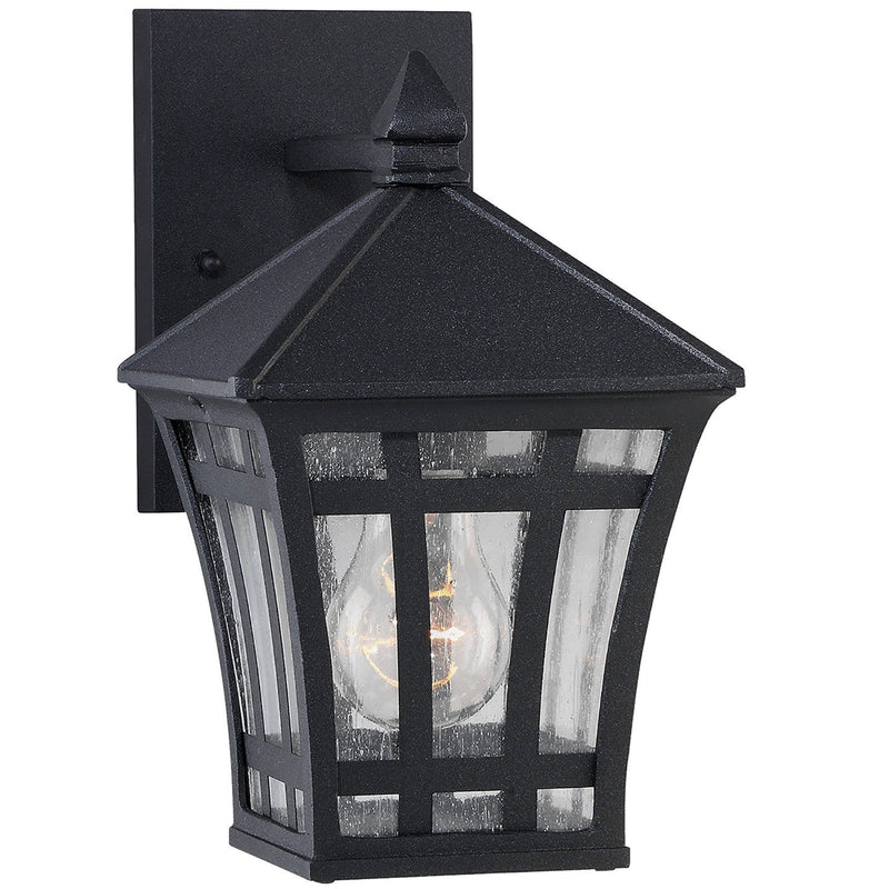Herrington Small Clear Seeded Outdoor Wall Lantern in Black