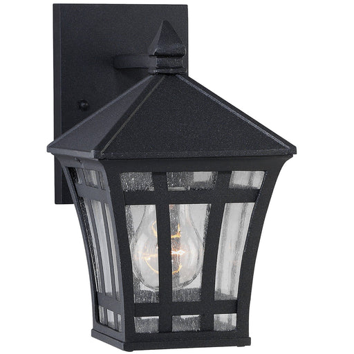 Herrington Small Clear Seeded Outdoor Wall Lantern in Black