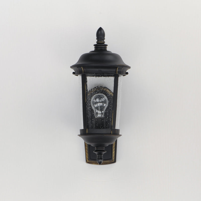 Dover Cast 17" 1 Light Outdoor Wall Lantern in Bronze
