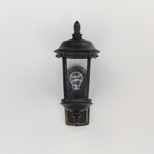 Dover Cast 17" 1 Light Outdoor Wall Lantern in Bronze