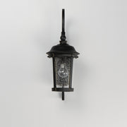 Dover Cast 19.5" 1 Light Outdoor Wall Lantern in Bronze