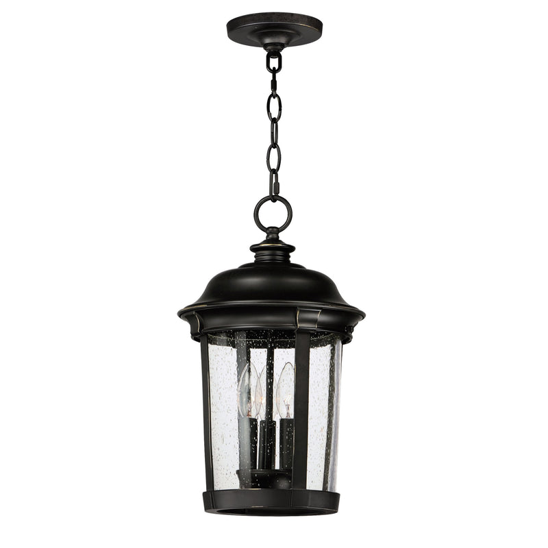 Dover Cast 3 Light Outdoor Hanging Lantern in Bronze