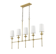 Emily 5 Light 51" Linear Pendant in Rubbed Brass
