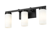 Danica 3 Light 20.5" Vanity in Matte Black